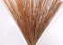 Reed Cane Zalm-roze 75cm