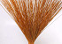 Bouquet Reed Cane Orange 75cm