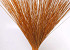 Reed Cane Orange 75cm