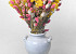 Dried Flower Bouquet Yellow/Pink XL