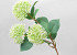 Allium Blanc artificielle 42cm