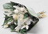 Bouquet de Fleurs Séchées Blanc