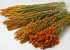 DIY Bouquet de Fleurs Sechées Orange Mix