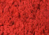 Lichen stabilisé Rouge par kg