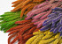 Setaria Assorti 6-pack 65cm