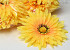 Artificial Gerbera Yellow D15cm