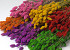 Phalaris Assorti 6-pack 70cm