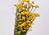 Bouquet Lonas 60cm