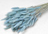 Lagurus Pastell Blau 65cm