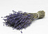 Gedroogde lavendel 70gr, 25-30cm