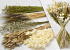 DIY Dried Flower Bouquet White/Natural XL