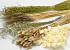 DIY Dried Flower Bouquet White/Natural XL