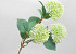 Artificial Allium White 42cm
