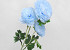 Kunst Camelia Blauw 70cm