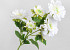 Kunst Gerbera Crème 66cm