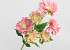 Artificial Gerbera Pink 66cm