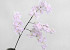 Artificial Lilac Light Pink 100cm 
