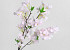 Artificial Cherry Tree Light Pink 90cm 