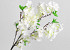 Cerisier artificielle Blanc 90cm 
