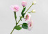 Artificial Lisianthus Light Pink 78cm 