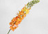Artificial Foxtail lily romance 106cm