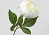 Pivoine artificielle Blanc 42cm 