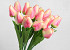 Tulp Roze 60cm