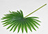 Künstliche Palm Blatt Grün 50cm
