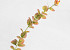 Kunst Eucalyptus Rood 51cm