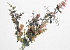 Kunst Eucalyptus Rood 65cm