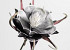 Foam Bloem Zwart, D 20cm