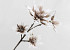 Foam Flower Spray White/Mocca 85cm