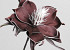 Foam Bloem Aubergine, D 20cm