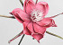 Foam Flower Dark Pink, D 20cm
