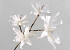 Blüte Schaumstoff Weiss 85cm 