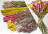 DIY Droogboeket XL Roze/Geel