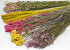 DIY Droogboeket XL Roze/Geel