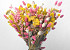 Dried Flower Bouquet Yellow/Pink XL