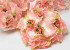Kunst Hortensia Kop Zalm D16cm