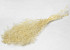 Gypsophila 35cm