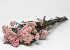 Rice Flower 100gr.