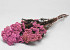Rice Flower Roze 100gr.