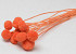 Craspedia Oranje 15 stuks 40cm