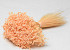 Glixia (50gr) Pastell Pfirsich 30cm