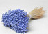 Glixia (50gr) Pastel Violet 30cm