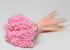 Glixia (50gr) Pastelroze 30cm