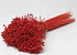 Glixia (50gr) Rood 30cm