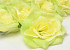 Artificial Rose Yellow-Green D10cm 
