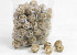 Brunch Ball 3cm 100pcs bag