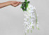 Kunst Wisteria Wit 65cm